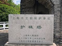 -上海佘山国家森林公园天马山园