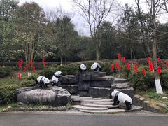 -都江堰中华大熊猫苑
