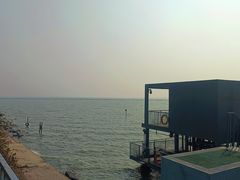 -贡湖湾湿地公园