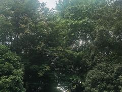 -幕燕滨江·长江观音景区