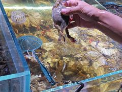 -聚盛源蒸汽海鲜火锅烤肉自助(巨川金海岸购物广场店)