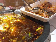 -费明中罗非鱼(大石坝店)