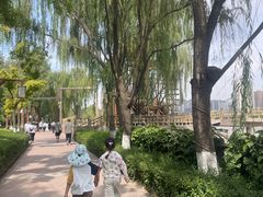 -水车博览园
