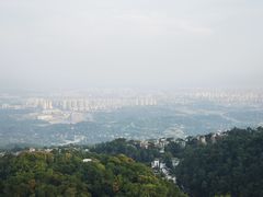 -大金鹰园