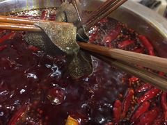 -大龙火锅(老店)