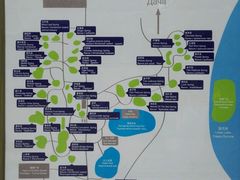 -三亚珠江南田温泉度假区