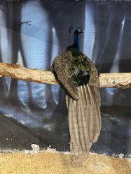 -酷嗒动物文化乐园(cutezoo西溪乐天城店)