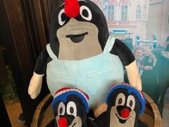 -布拉格餐厅· 中欧捷克菜(全国首店)