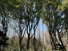 -新洲生态园