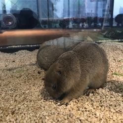 -未来动物城主题公园(正弘城店)