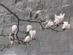 -东华门大街小区