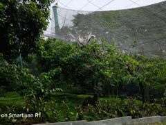 -吉隆坡雀鸟公园