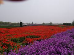 -江苏三台山国家森林公园