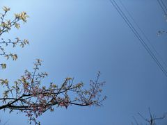 -石峰公园