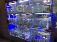 水产区-石锅苗苗鱼(武汉首店)