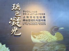 -上海博物馆(人民广场馆)