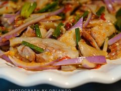 -老号尤兔头(幸福店)