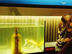 -鮨桐日本料理(望京店)