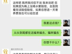 -趣玩宠物乐园寄养训犬训狗游泳池