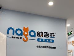 -纳吉亚猫专科动物诊疗中心(蒋宅口分院)