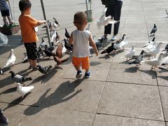 -陕西自然博物馆