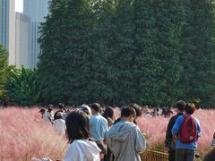 -艾溪湖湿地公园