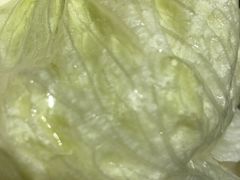 -海底捞火锅(公益西桥店)