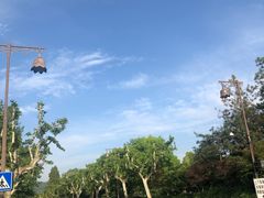 -西湖游船