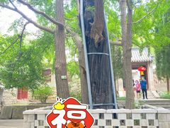 -青岛崂山太清宫
