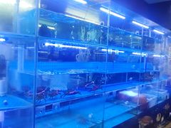 -泰谷酒店·太古码头闽菜自助餐厅