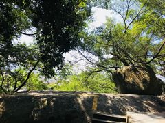 -云洞岩妹仔盐鸡(漳州古城店)