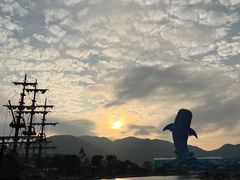 -珠海长隆海洋王国