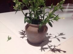 -藏素风格餐厅(大兴店)