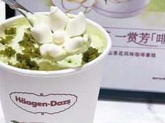 -哈根达斯(国瑞店)