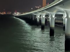 -演武大桥观景平台