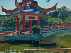 -金砂公园