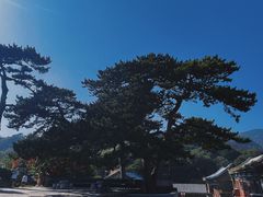 -妙峰山风景名胜区
