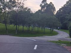 -火炉山森林公园