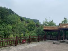 -铁山坪森林公园