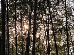 -陶祖圣境风景区