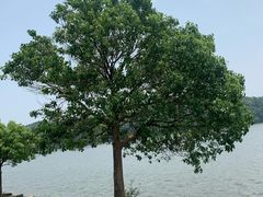 -南京市无想山景区