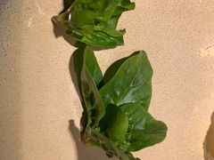 -荣记火锅(青悦城店)