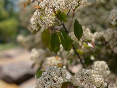 -上海滨江森林公园