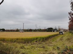 -嘉北郊野公园
