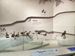 -武汉园博园(武汉自然博物馆)