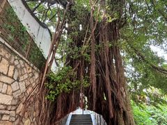 -乌山风景区