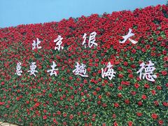 -海德温泉生活馆(朝阳大悦城店)