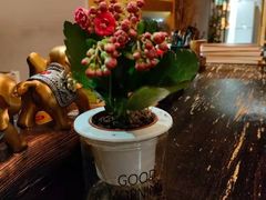 -泰·菩提树下[泰式按摩x精油SPAx肩颈头疗](新景店)