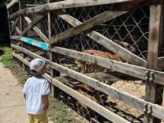 -静之湖湖畔餐厅