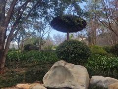 -七彩云南古滇温泉山庄
